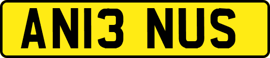 AN13NUS
