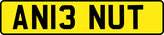 AN13NUT