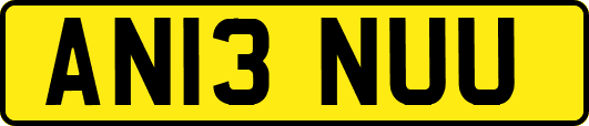 AN13NUU
