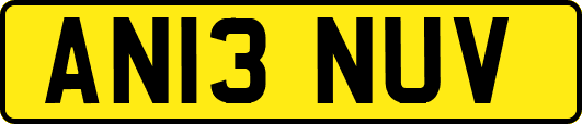 AN13NUV