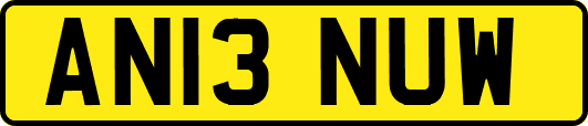 AN13NUW