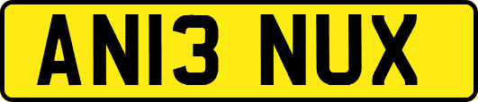 AN13NUX
