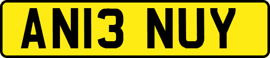 AN13NUY
