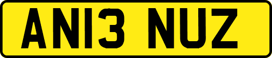 AN13NUZ