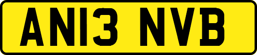 AN13NVB