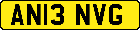 AN13NVG