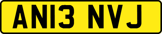 AN13NVJ