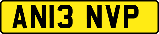 AN13NVP