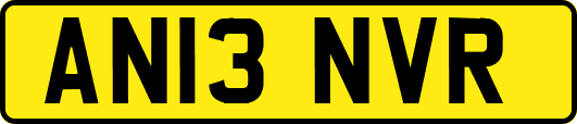AN13NVR