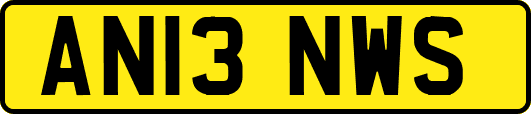 AN13NWS