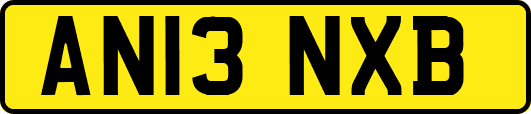 AN13NXB