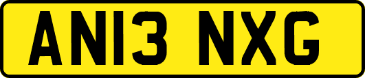 AN13NXG