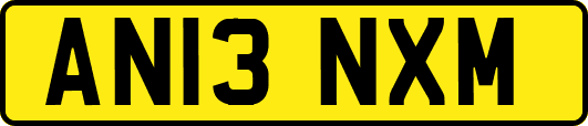 AN13NXM