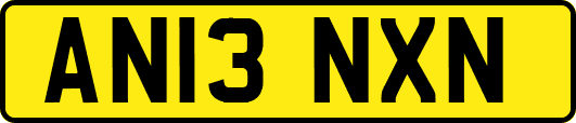 AN13NXN