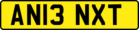 AN13NXT