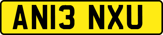 AN13NXU
