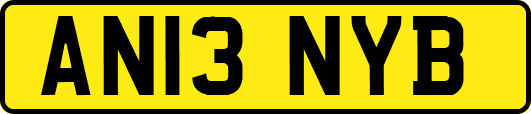 AN13NYB