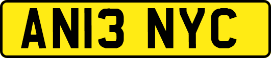 AN13NYC