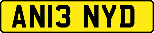 AN13NYD