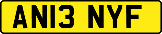 AN13NYF