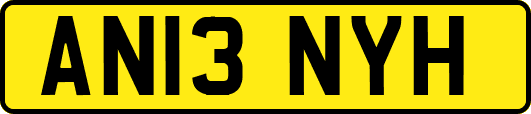 AN13NYH