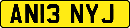 AN13NYJ