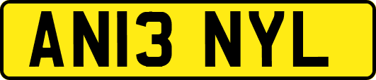 AN13NYL