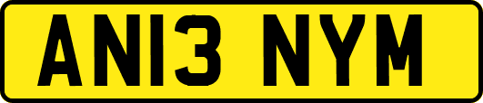 AN13NYM