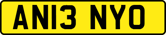 AN13NYO