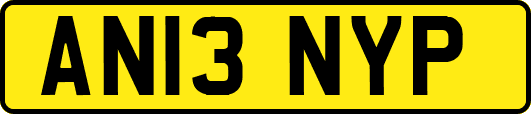 AN13NYP
