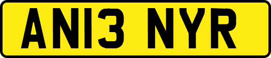 AN13NYR