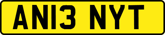 AN13NYT