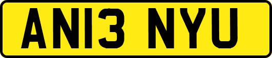 AN13NYU