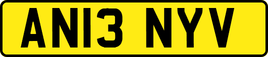 AN13NYV
