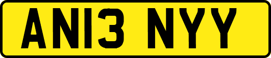 AN13NYY