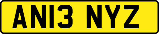 AN13NYZ