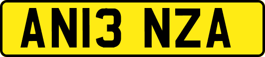 AN13NZA