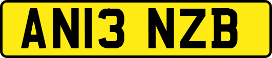AN13NZB
