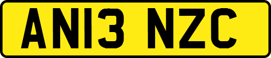 AN13NZC