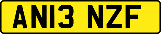 AN13NZF