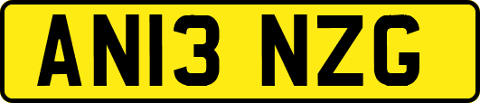 AN13NZG