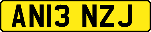 AN13NZJ