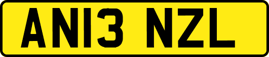AN13NZL