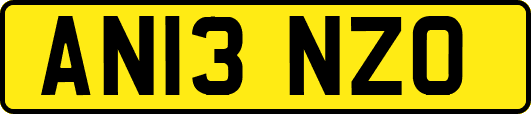 AN13NZO