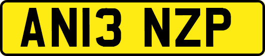 AN13NZP