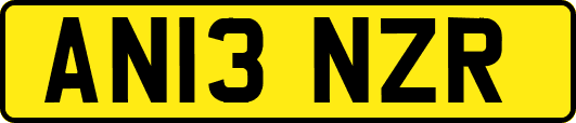 AN13NZR