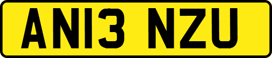 AN13NZU