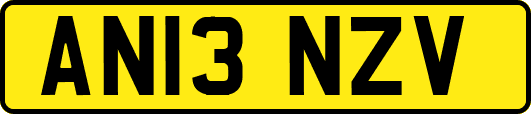 AN13NZV