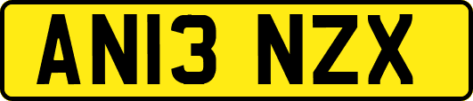 AN13NZX