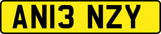 AN13NZY